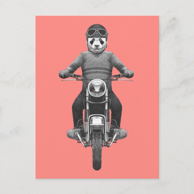 Panda Motorcyle Rider Postcard (Front)