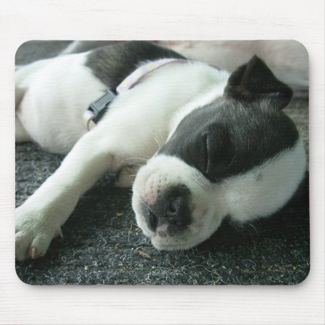 panda mouse pad (Front)