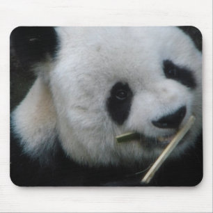 Panda Mouse Pad