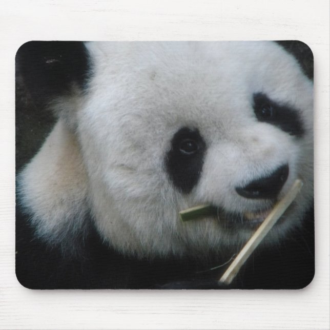 Panda Mouse Pad (Front)