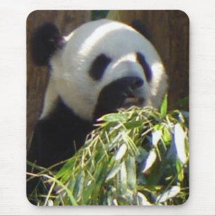 Panda Mouse Pad