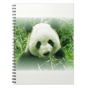 Panda Notebook