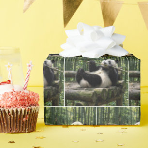 Panda on a Log Platform Wrapping Paper