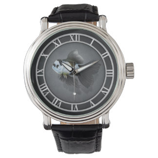 panda oranda goldfish watch
