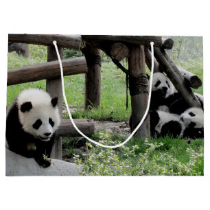 Panda Photograph Large Gift Bag