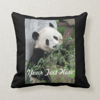 Panda Pillow, Solid Black Back