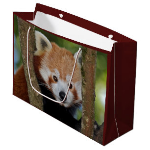 Panda Portrait Gift Bag