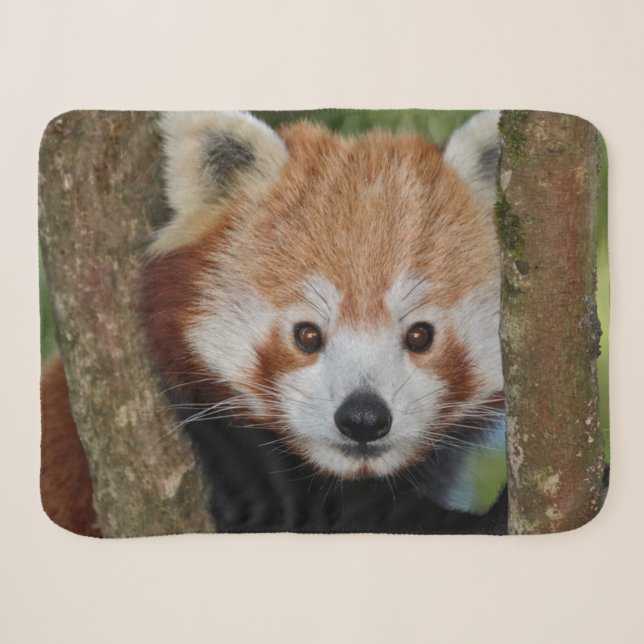 Panda Portrait Sherpa Blanket (Front (Horizontal))