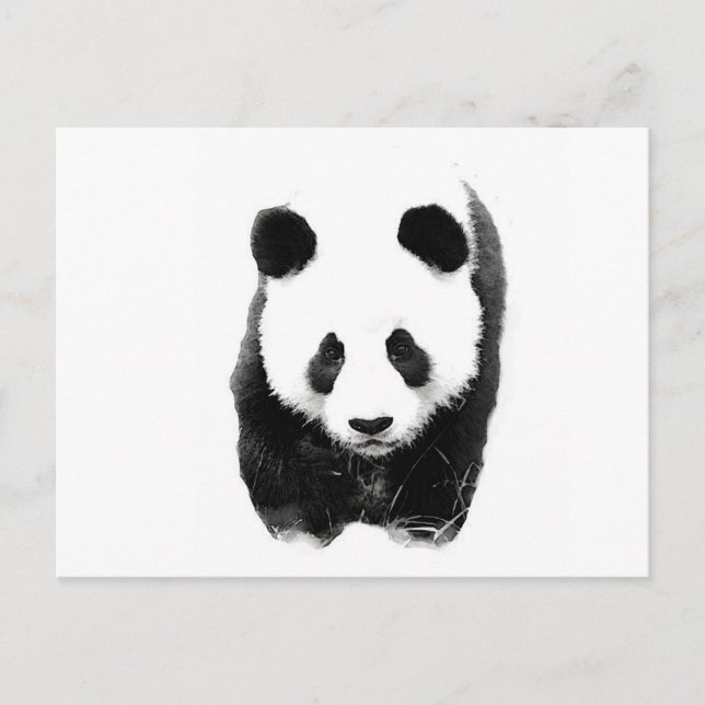 Panda Postcard (Front)