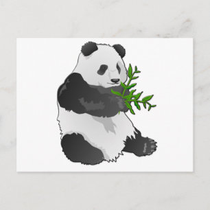 Panda Postcard