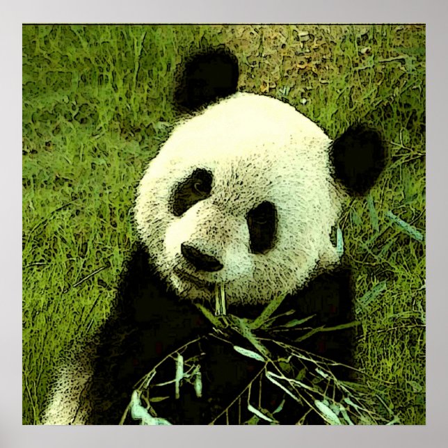 Panda Poster - Panda Posters Prints (Front)