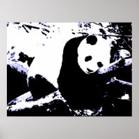 Panda Posters Prints - Panda Sleeping Poster