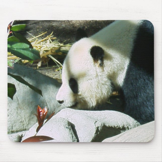 panda profile mouse pad (Front)