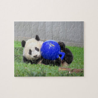 Panda puzzle - Xiao Qi ji, the miracle cub 