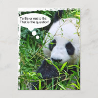 Panda Quote Animal Template Trendy Modern