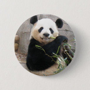 Panda Snack 6 Cm Round Badge