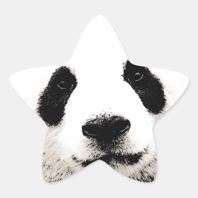 Panda Star Sticker (Front)