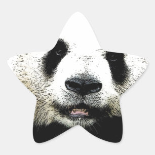 Panda Star Sticker