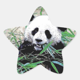 Panda Star Sticker