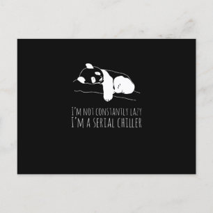 Panda Sweet Funny Funny Koala Animals Postcard