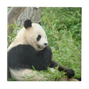 Panda Tile