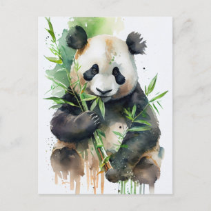 Panda with black and white fur postcard
