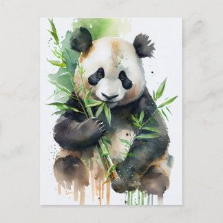 Panda with black and white fur postcard