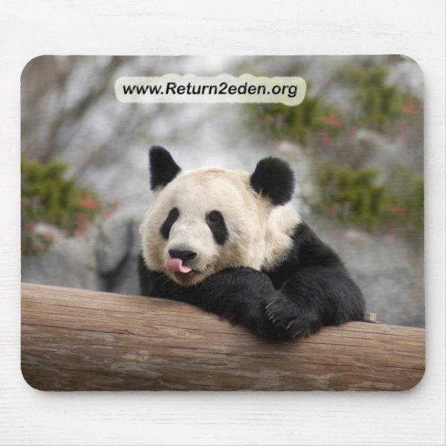 PandaM021 Mouse Pad (Front)