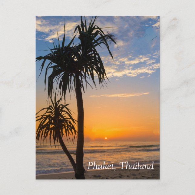 Pandanus tree at sunset,  Laypang Beach, Bang Tao, Postcard (Front)