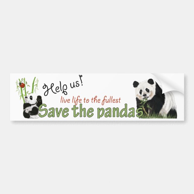 pandas bumper sticker (Front)