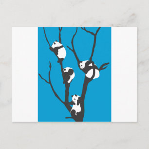 Pandas Hangin' Out Postcard