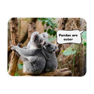 Pandas or Koalas - Which are cuter? Magnet
