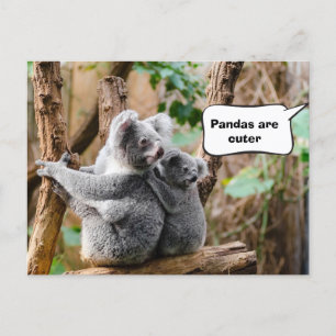 Pandas or Koalas - Which are cuter? Postcard