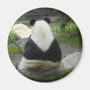 PandaSD002 Magnet