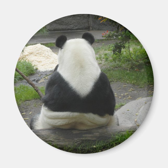 PandaSD002 Magnet (Front)