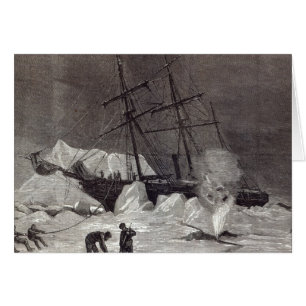 Pandora' nipped in the ice