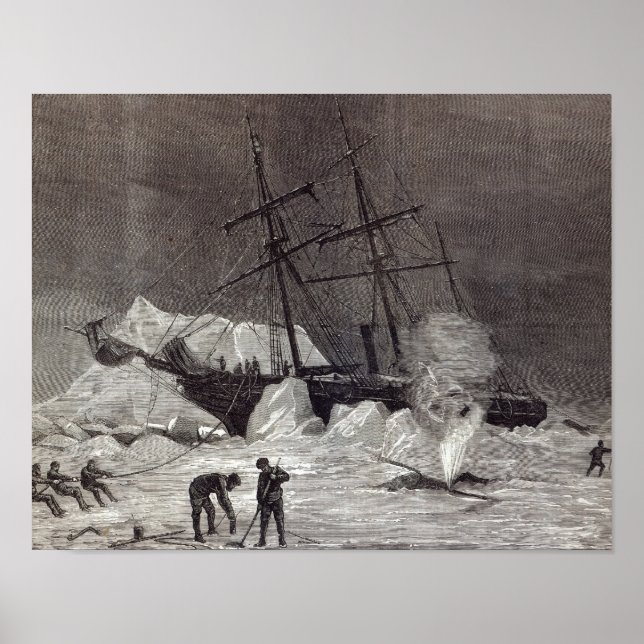 Pandora' nipped in the ice poster (Front)