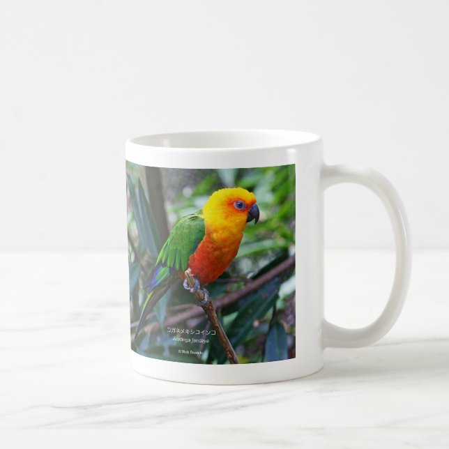 Pandora Red Ribbon, Sun Parakeet Coffee Mug (Right)