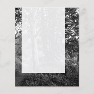 Panel 013 - In the Woods Flyer