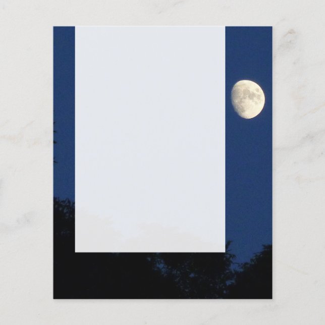 Panel 025 - Moon Flyer (Front)