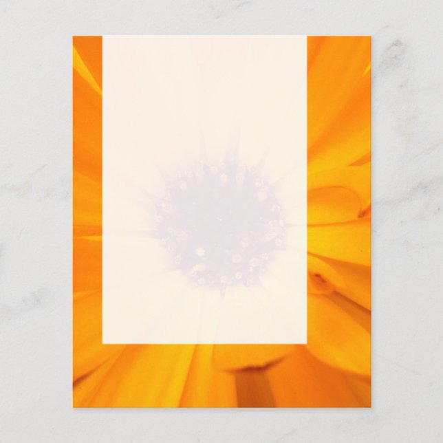Panel 026 - Orange Marigold Flyer (Front)