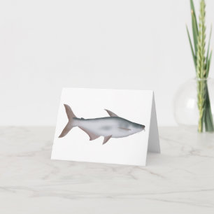 Pangas Catfish Note Card