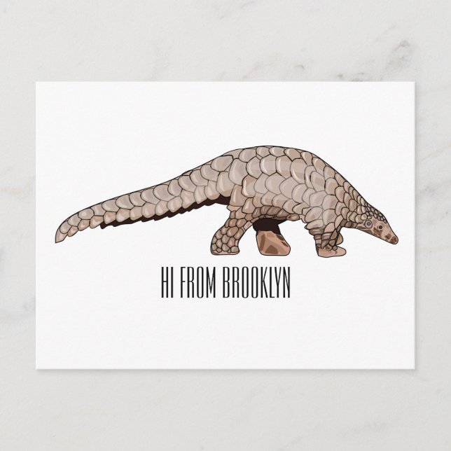Pangolin cartoon illustration postcard (Front)
