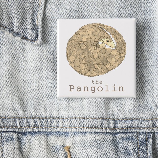 Pangolin Endangered Species Animal Rights Activism 15 Cm Square Badge (Cute pangolin rolled up wild animal art endangered wildlife button)