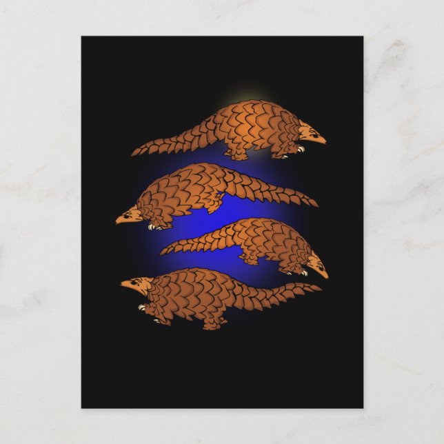 Pangolin Gift Men Pangolin Lover Women Pangolin Postcard (Front)