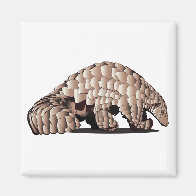 PANGOLIN-Only Magnet (Front)