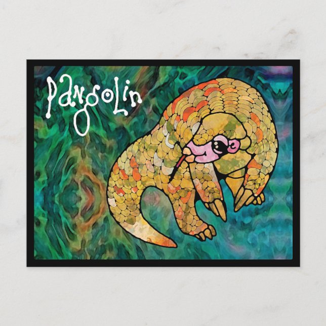 Pangolin Postcard (Front)