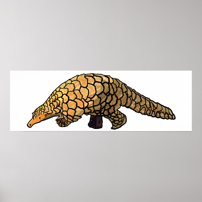 Pangolin Poster (Front)