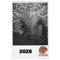 Pangolin Rescue Fund Calendar 2026