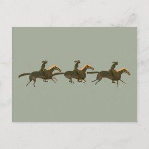 Panoply - Ancient Greek vase art horses & riders Postcard